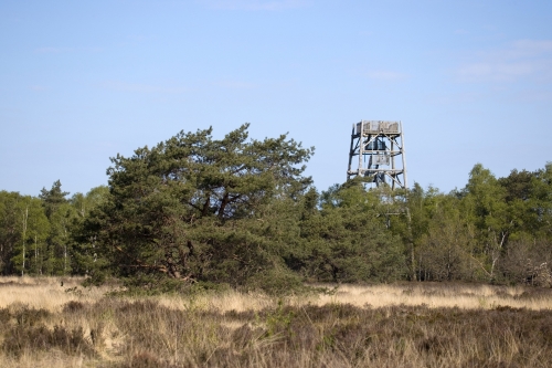 Wandelvakantie
