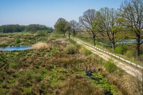 Fietsvakantie
