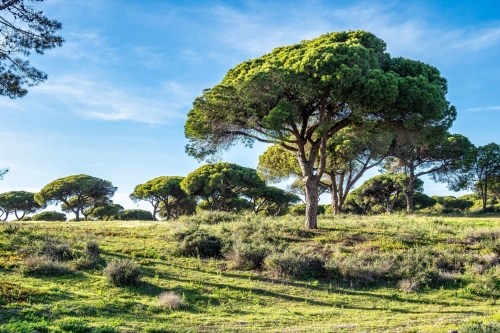 Wandelvakantie