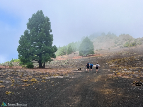Wandelvakantie