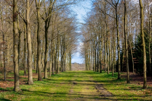 Dagtocht