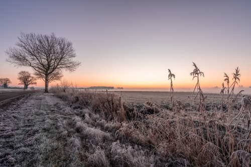 Dagtocht