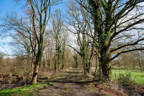 Dagtocht