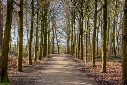 Dagtocht