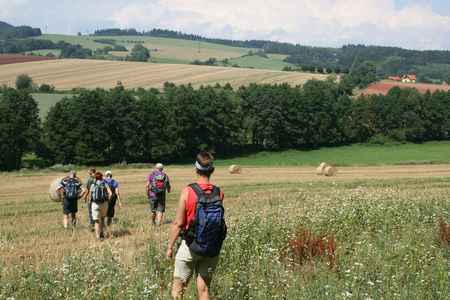 wandelaars