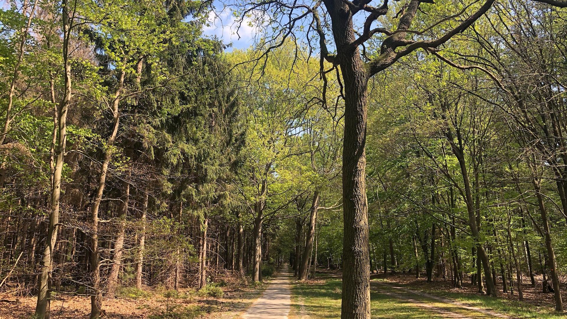 Dag 2 - Fietsvakantie Nationaal Park Sallandse Heuvelrug