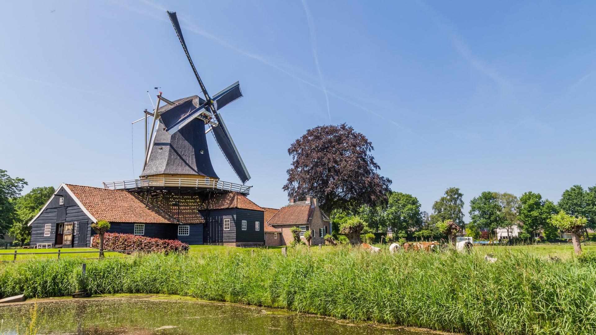 Dag 4 - Fietsvakantie Nationaal Park Sallandse Heuvelrug