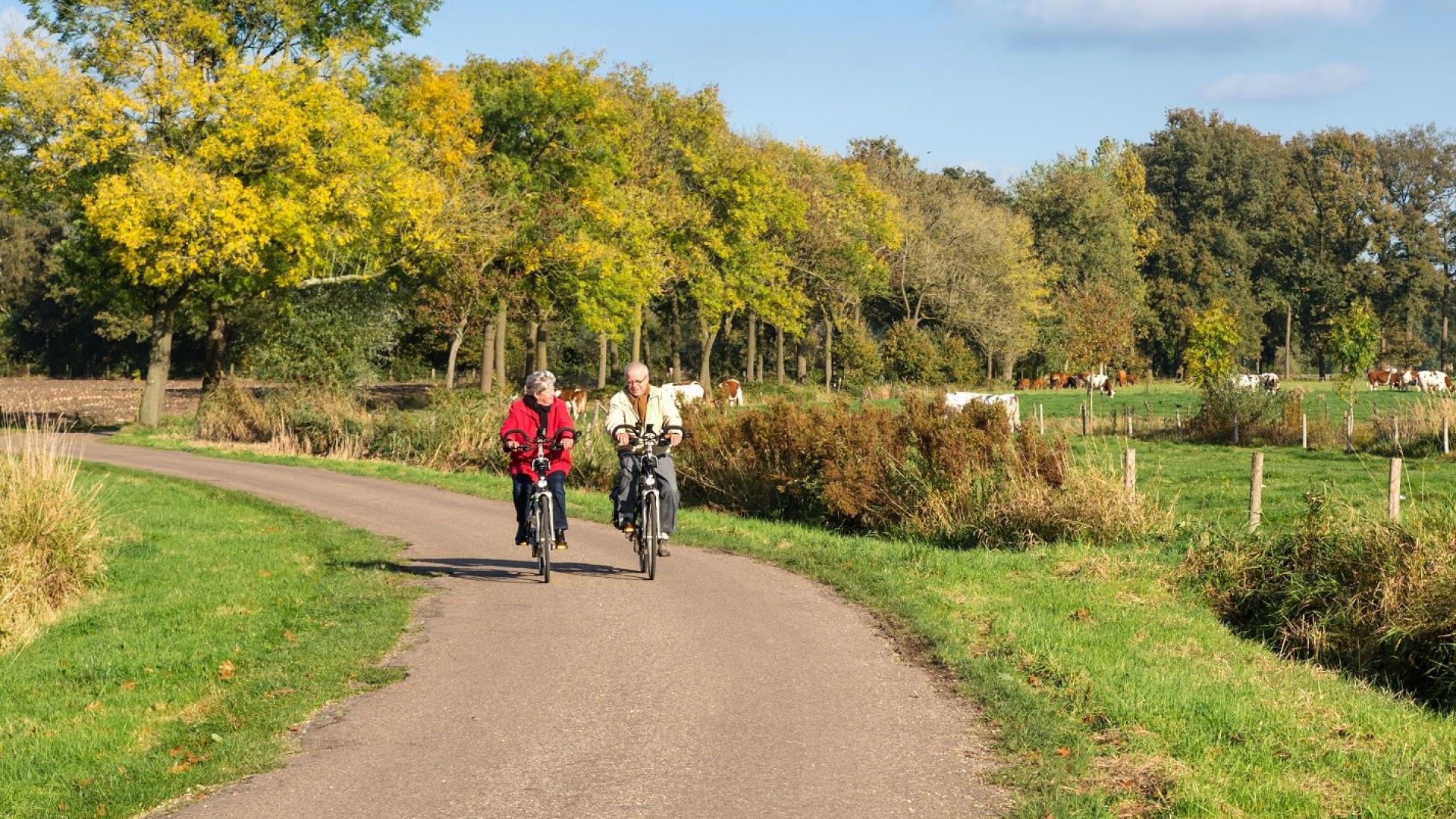 Dag 5 - Fietsvakantie Nationaal Park Sallandse Heuvelrug