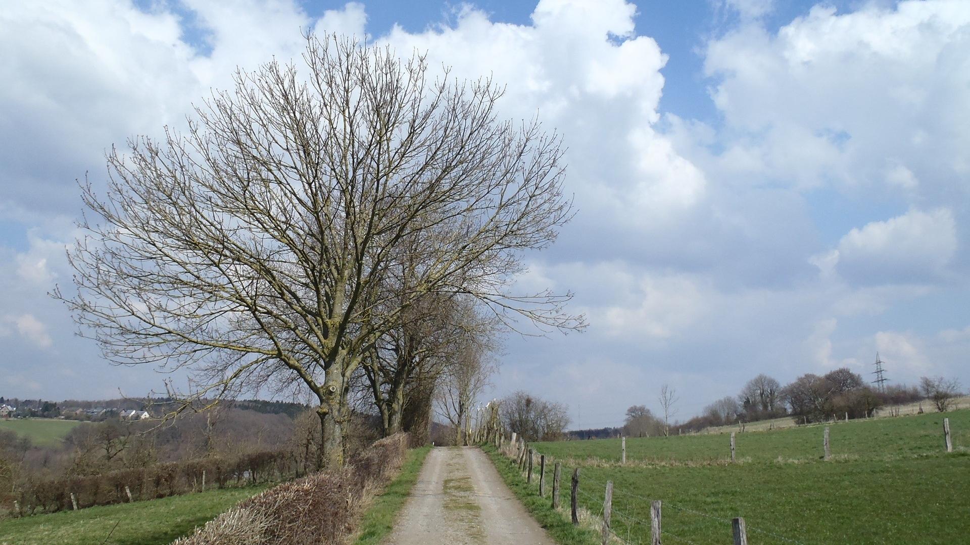 Dag 1 - Singlereis Wandelen Abdij Rolduc en het Land van Rode Kerstvakantie 