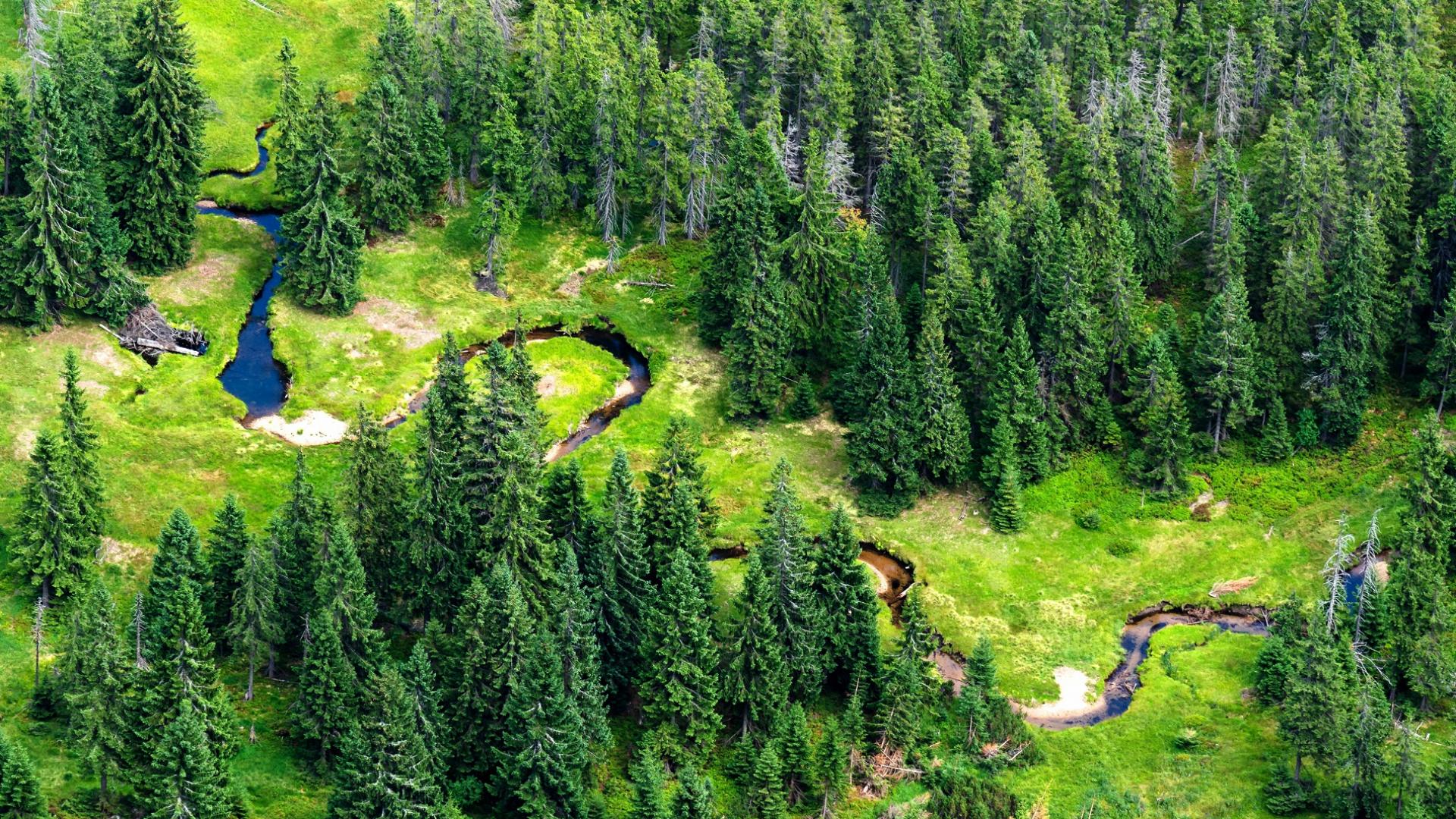 Dag 4 - Fietsvakantie van de bron van de Elbe naar Praag