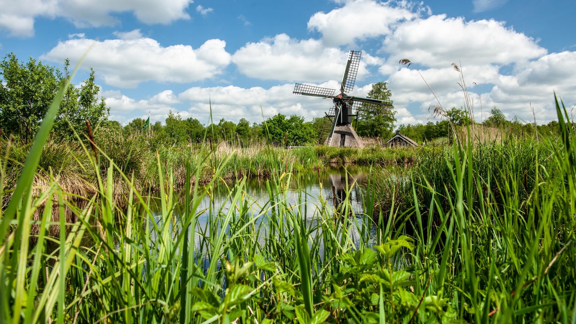 Dag 2 - Fietsvakantie Giethoorn en drie Nationale Parken