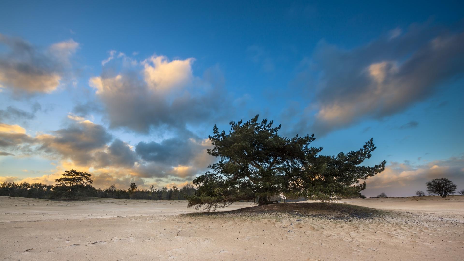 Dag 4 - Fietsvakantie Giethoorn en drie Nationale Parken