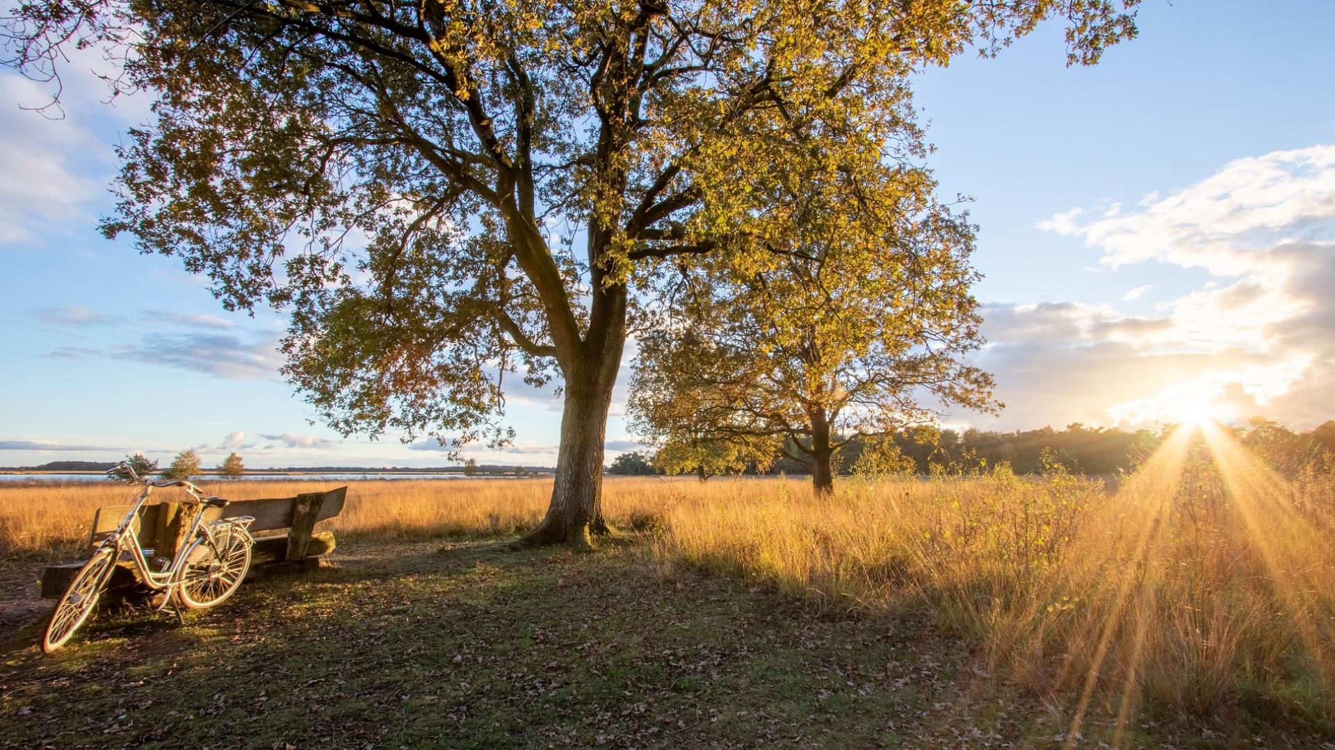 Dag 5 - Fietsvakantie Giethoorn en drie Nationale Parken