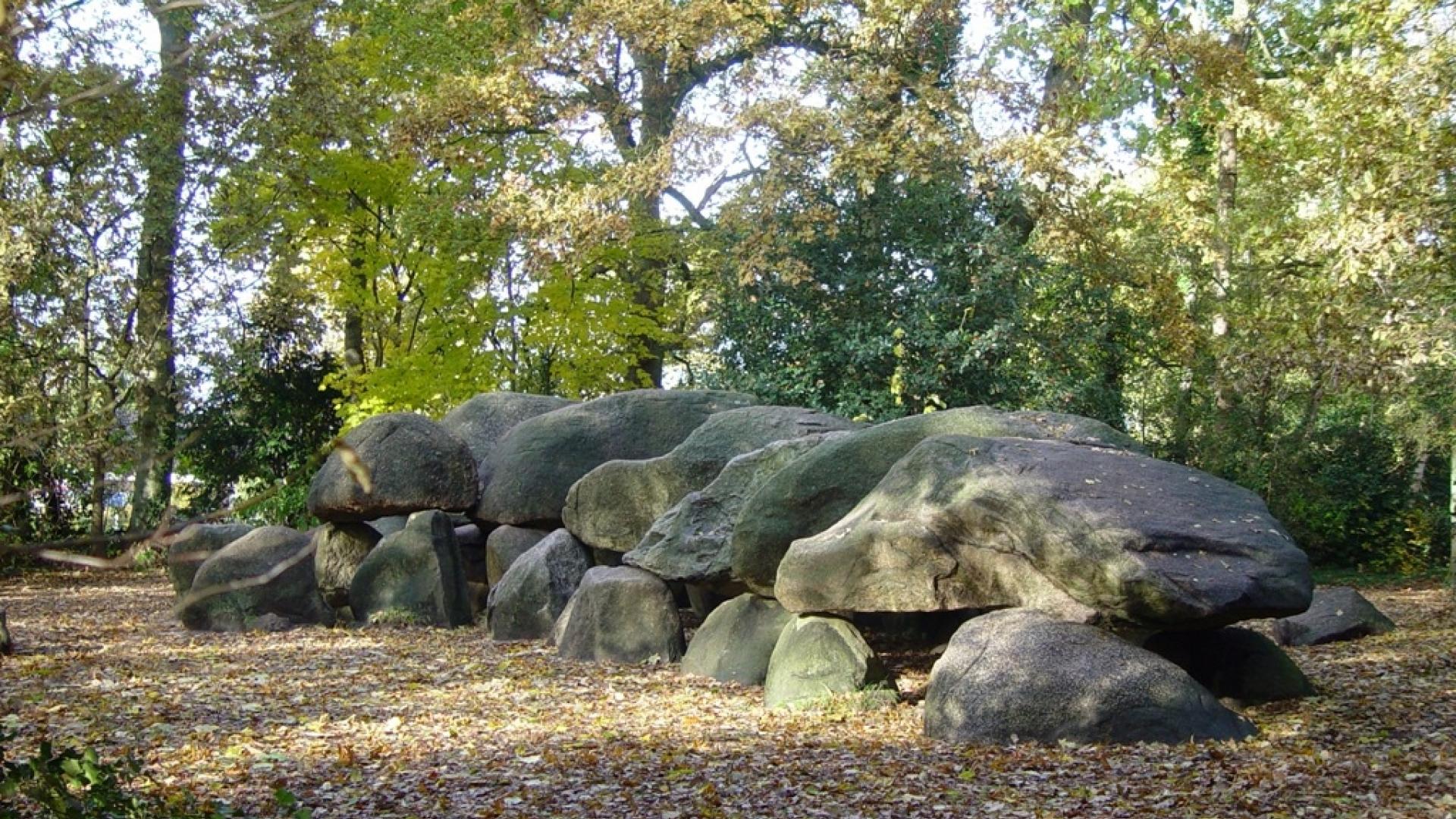 Dag 4 - Fietsvakantie door de Drentse bossen en heide - 5 dagen