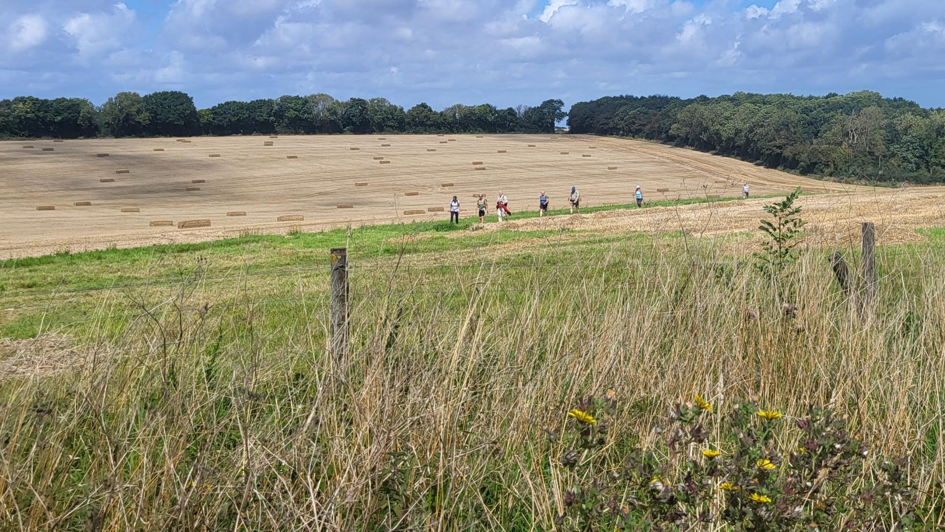 Dag 7 - Singlereis Wandelen Kent Aylesford & Canterbury