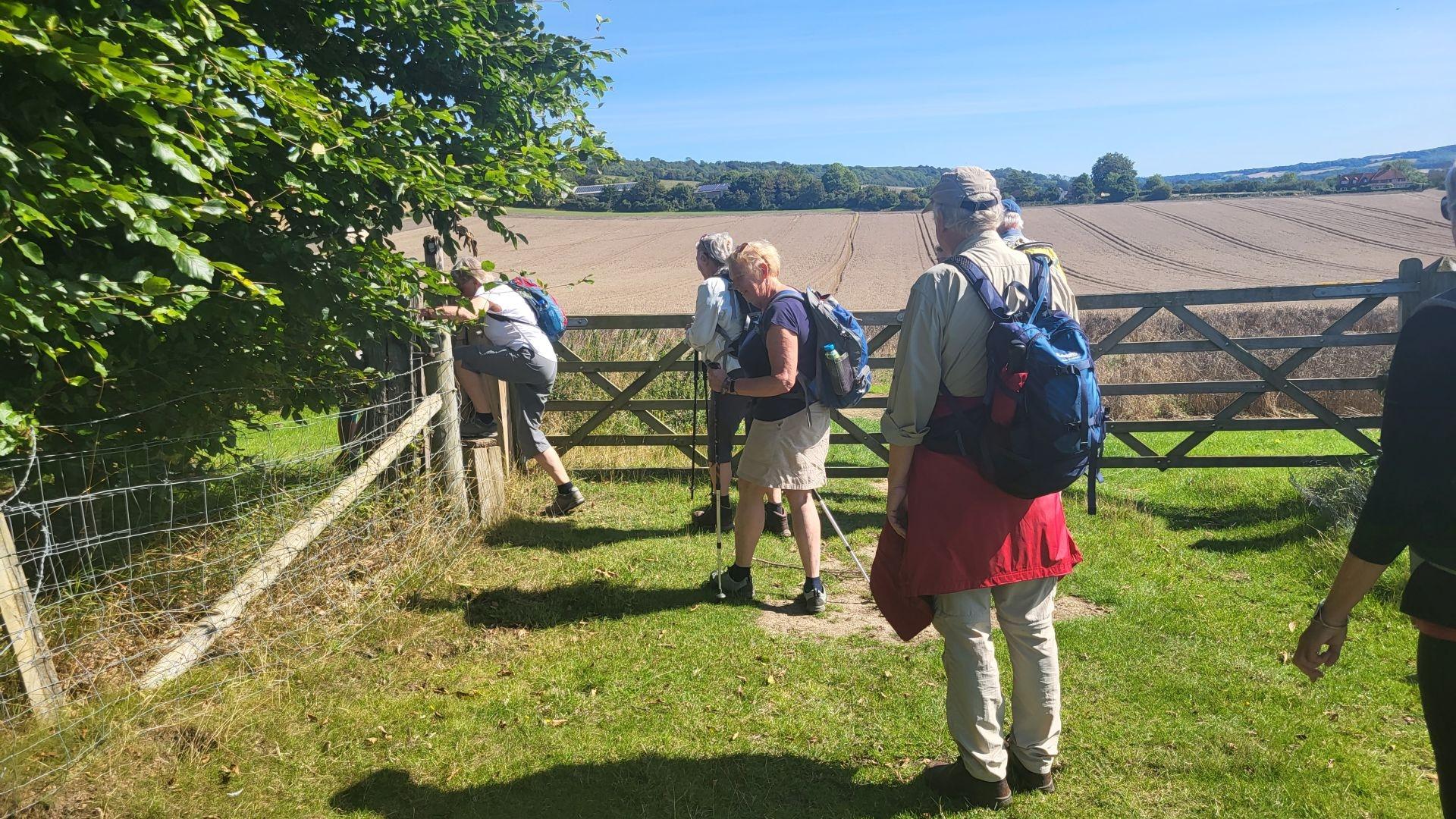 Dag 9 - Singlereis Wandelen Kent Aylesford & Canterbury