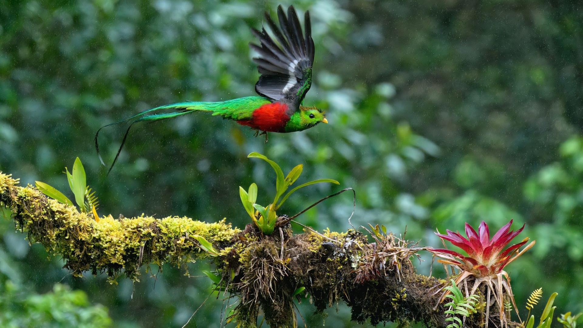 Dag 10 - Singlereis wandelen in Costa Rica