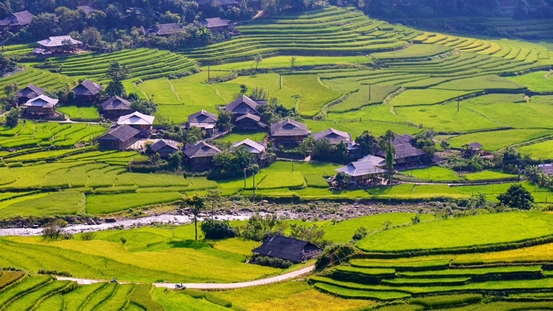 Dag 3 - Singlereis Wandelen Vietnam