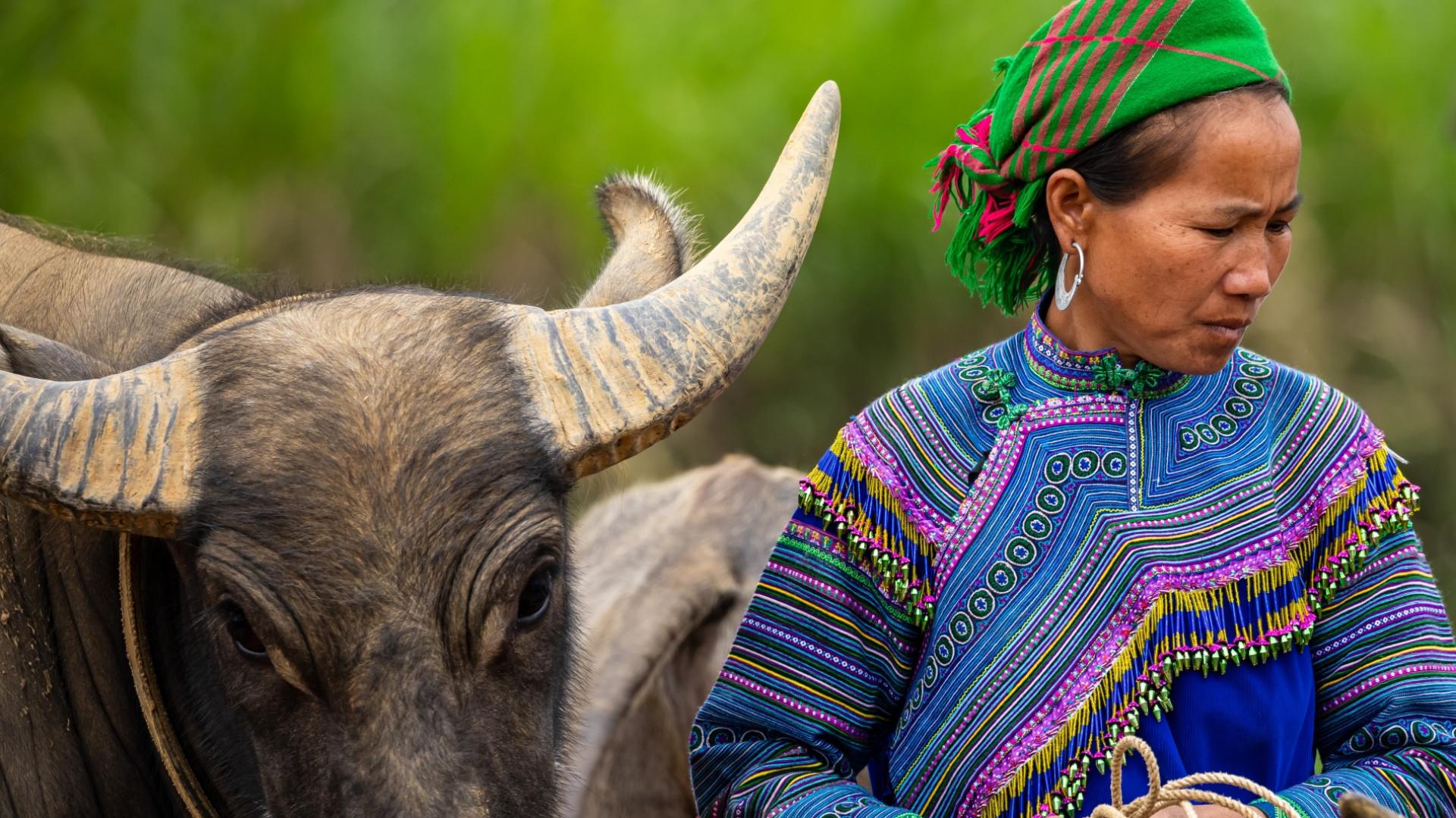 Dag 7 - Singlereis Wandelen Vietnam