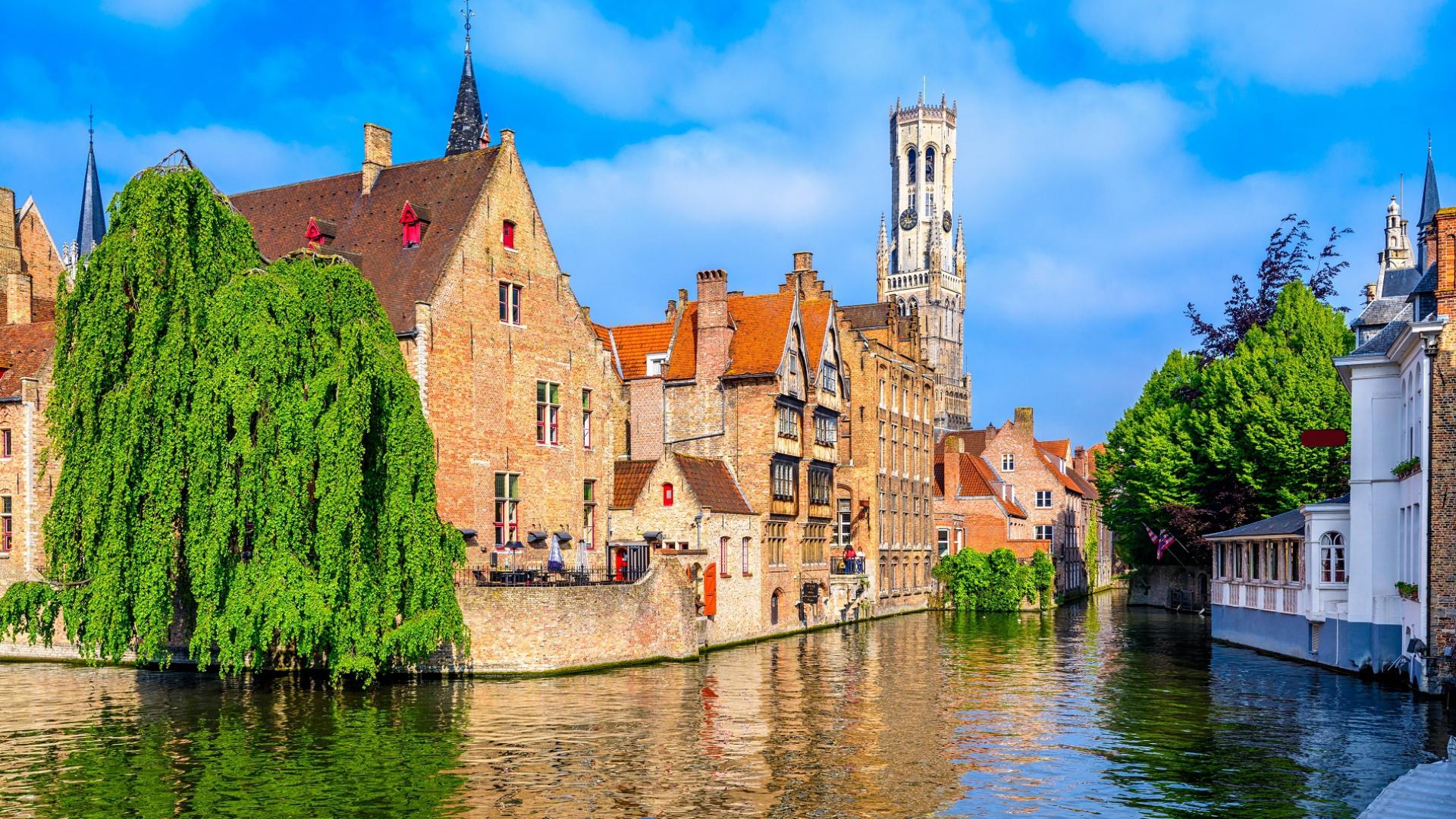 Dag 2 - Single excursiereis Belgische Kust