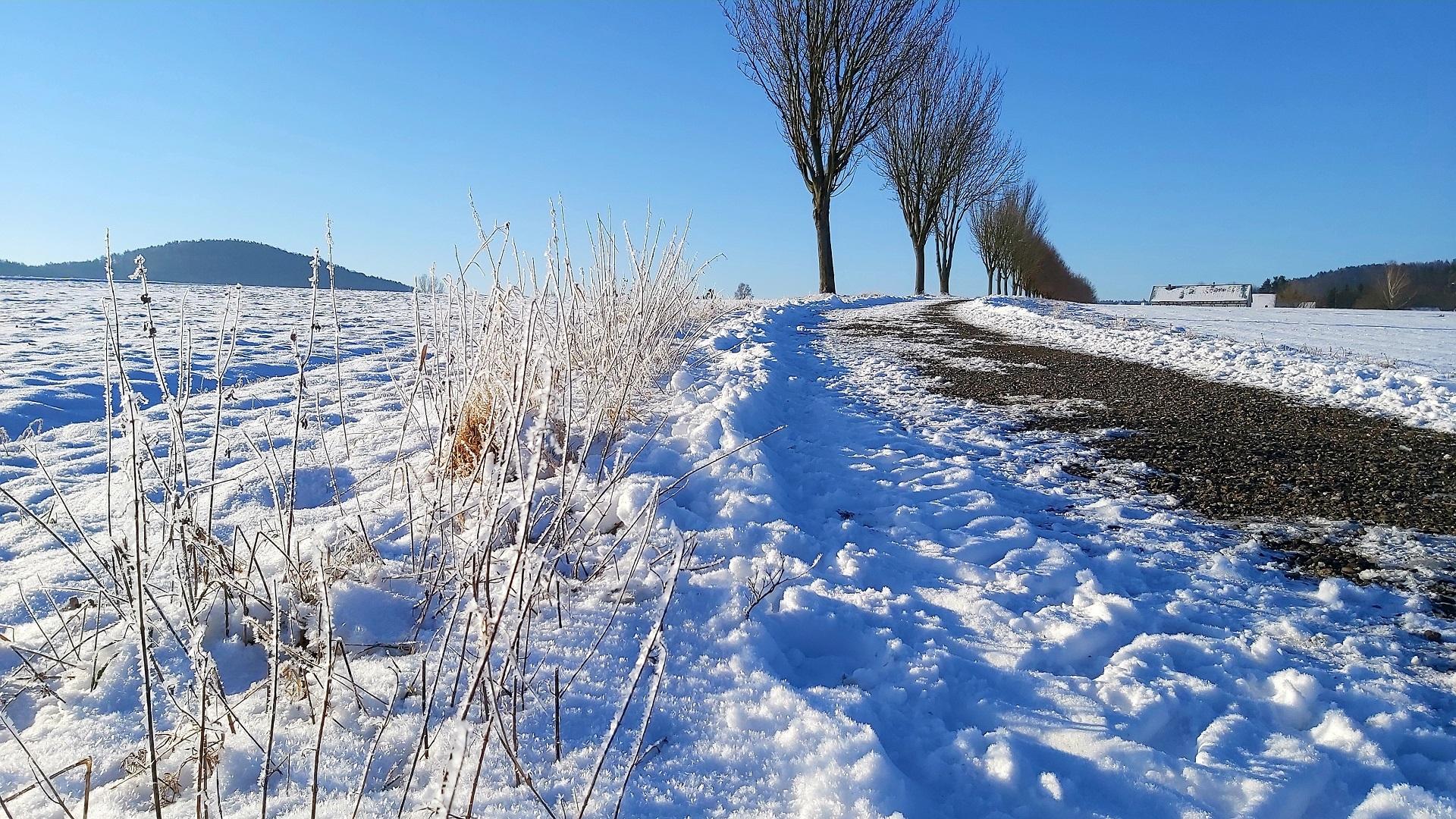 Dag 8 - Winter wandelvakantie door het Elbezandsteengebergte