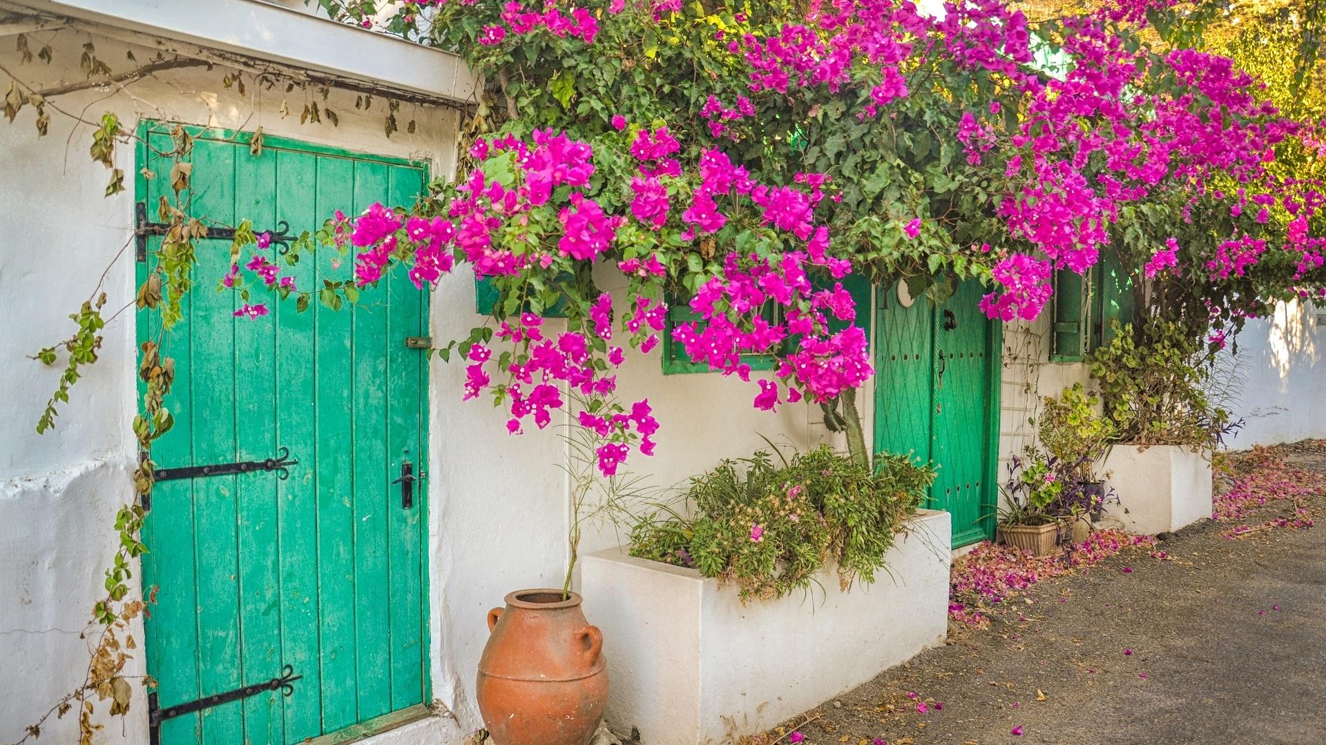 Dag 10 - Wandelvakantie Cyprus - 11 dagen