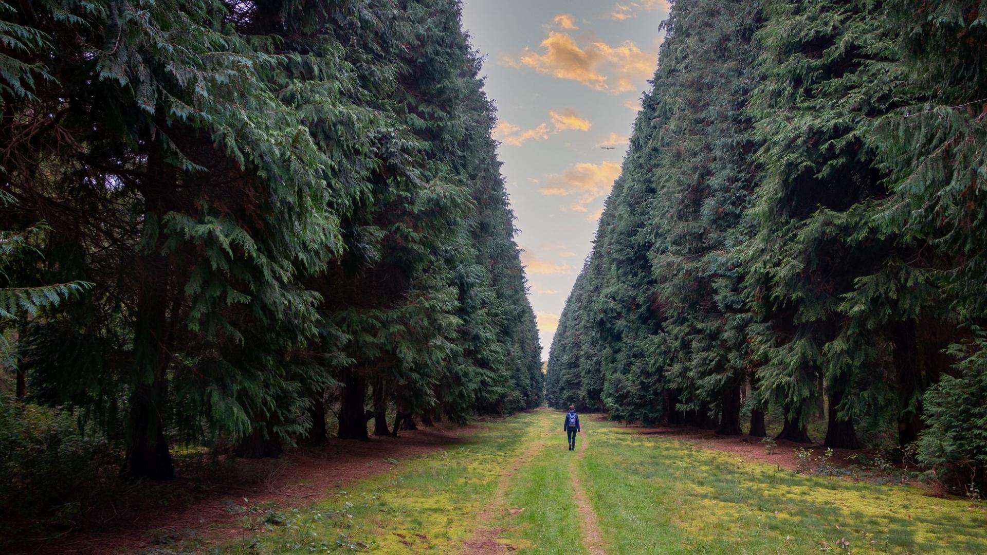 Dag 1 - Singlereis wandelen in de Kop van Overijssel en Drenthe - 5 dagen