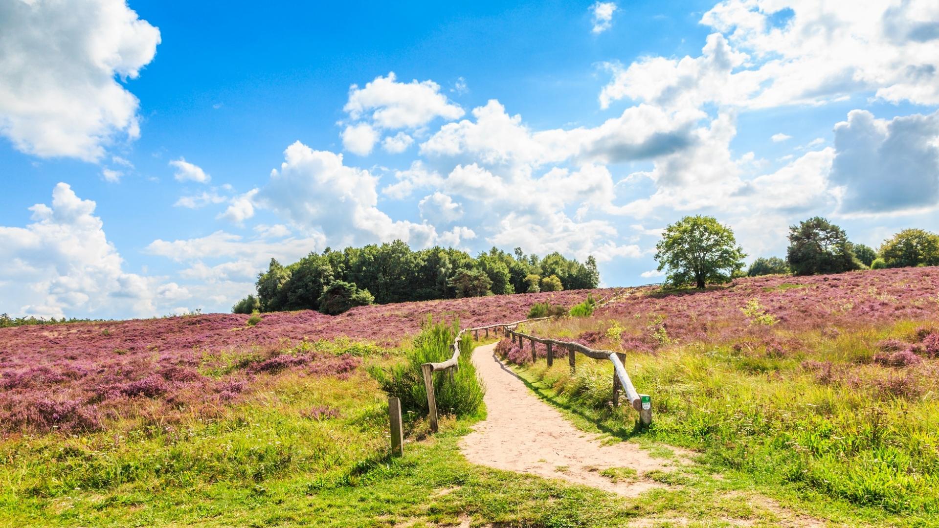 Dag 4 - Singlereis wandelen in de Kop van Overijssel en Drenthe - 5 dagen
