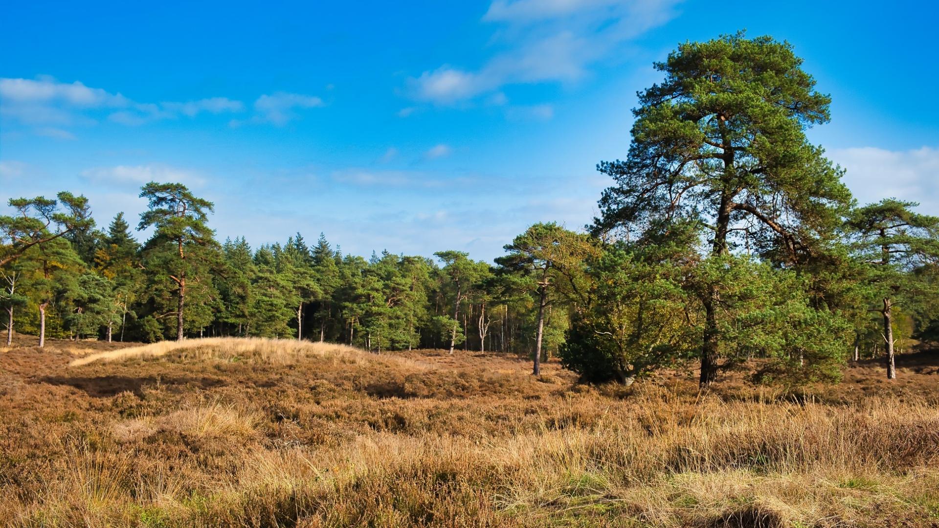 Dag 5 - Singlereis wandelen in de Kop van Overijssel en Drenthe - 5 dagen