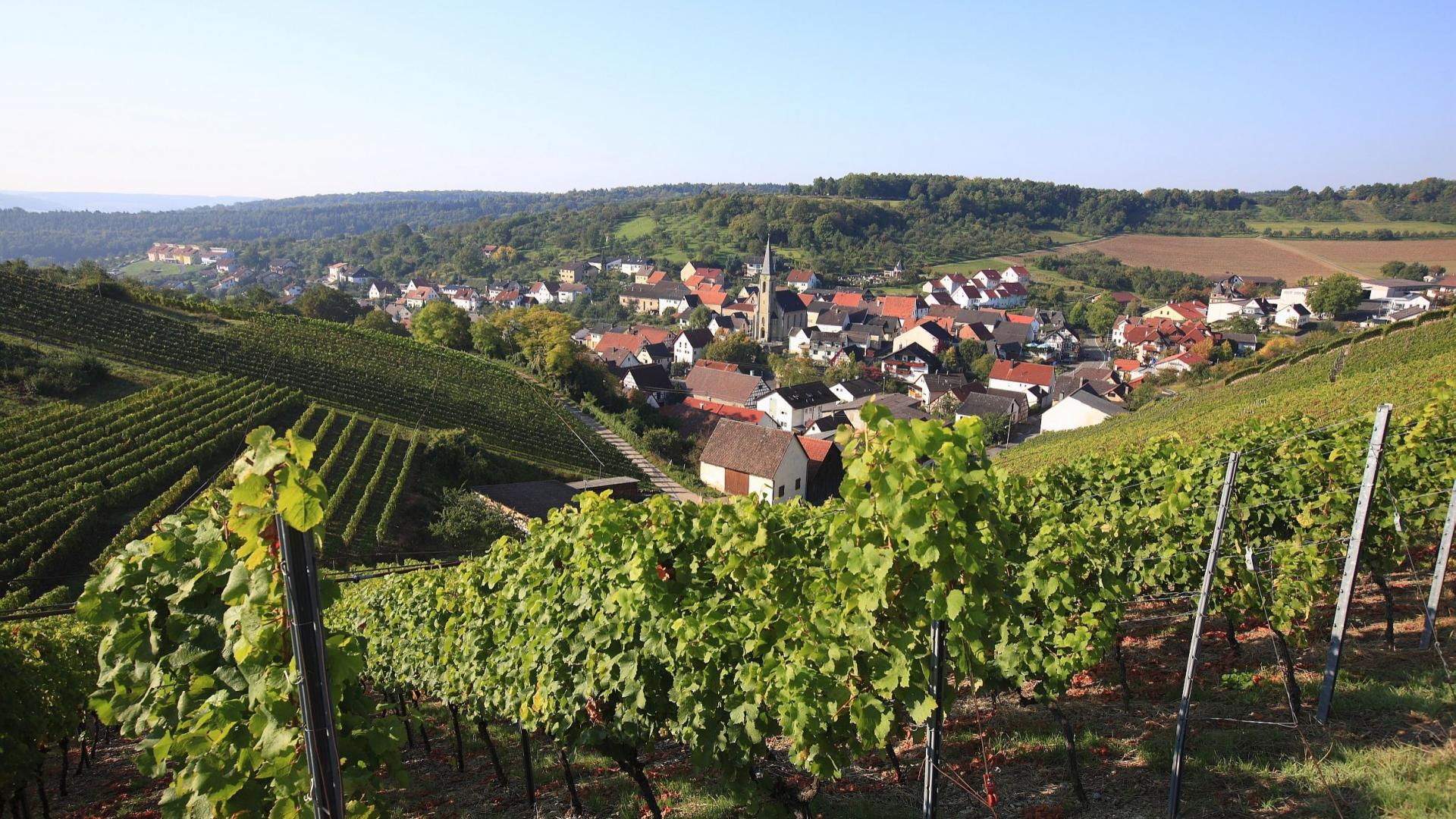 Dag 10 - Fietsvakantie Romantische Strasse