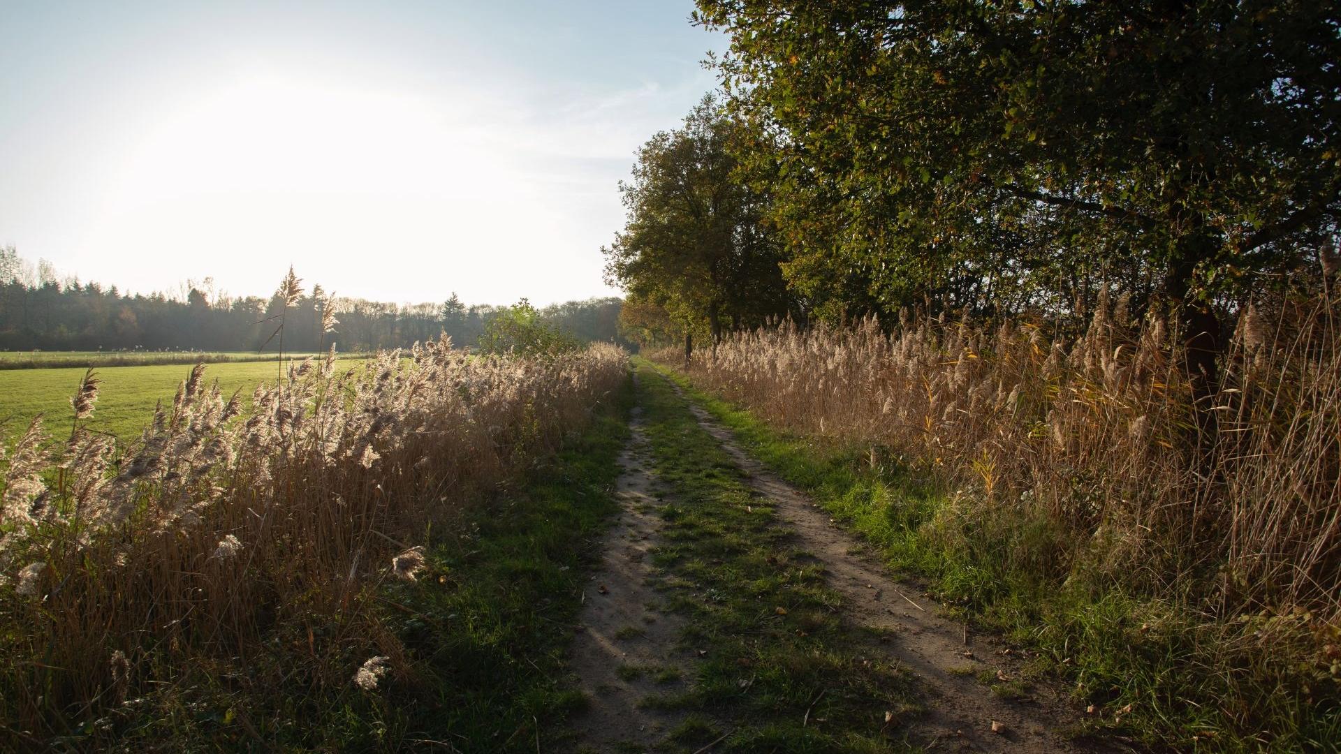 Dag 3 - Wandelvakantie Camino Brabant - van Eindhoven naar Tilburg