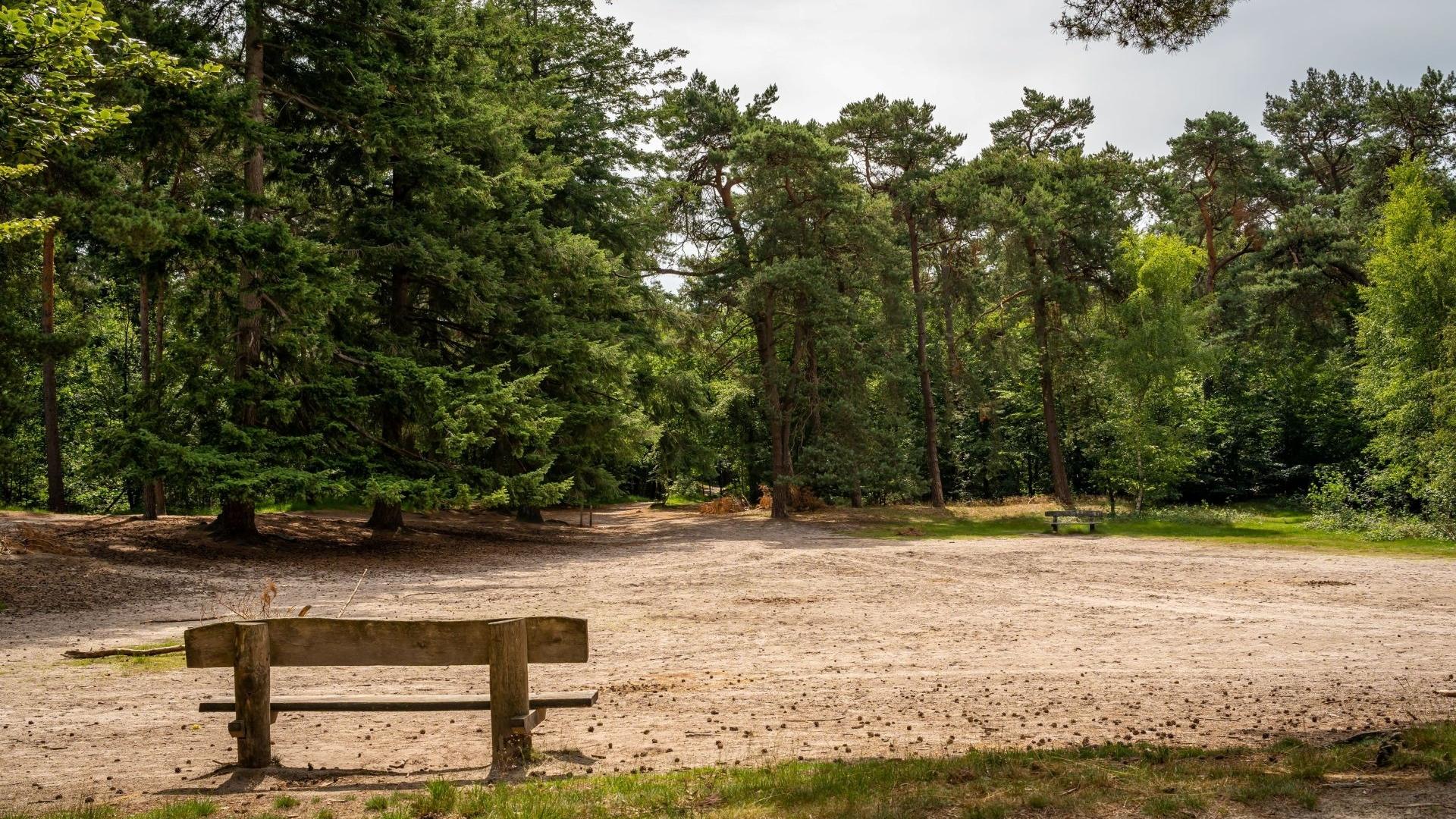 Dag 5 - Wandelvakantie Camino Brabant - van Tilburg naar Den Bosch