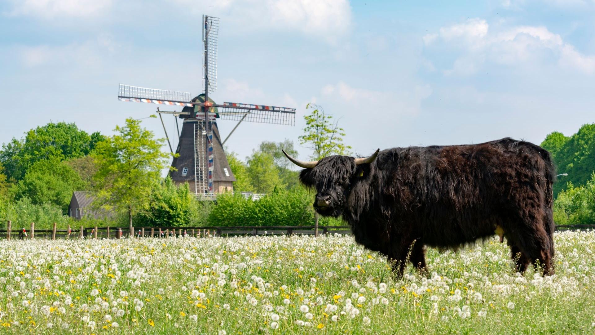 Dag 4 - Wandelvakantie Camino Brabant - 15 dagen