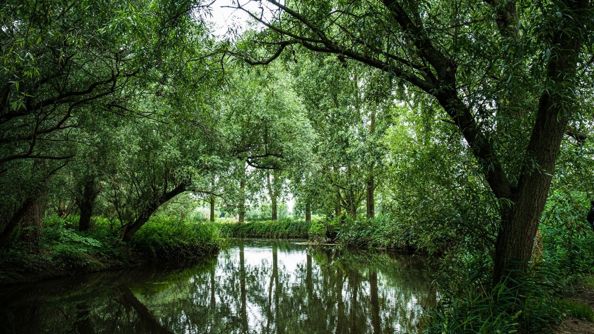 Dag 5 - Wandelvakantie Camino Brabant - 15 dagen