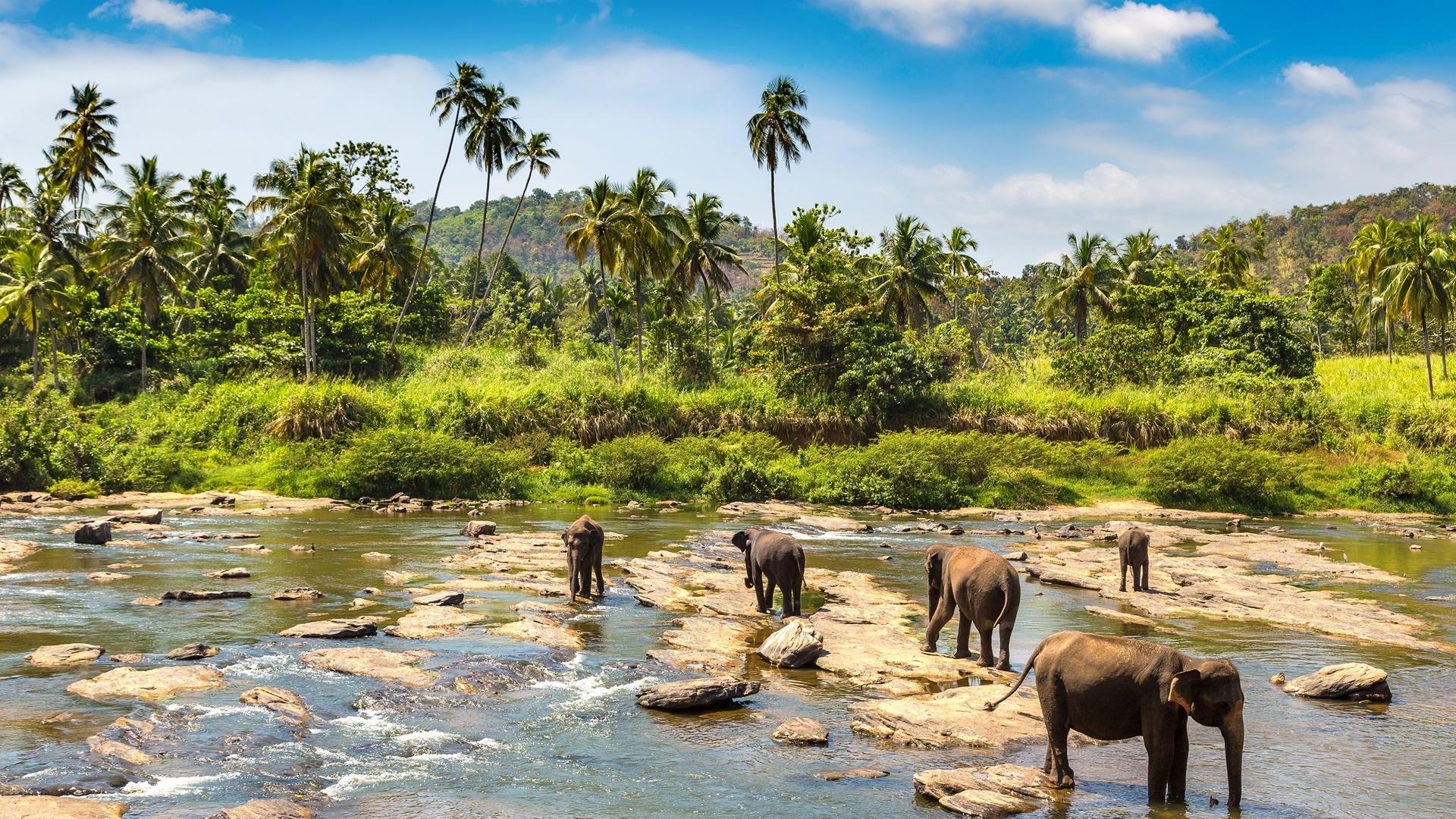 Dag 4 - Wandelvakantie Sri Lanka