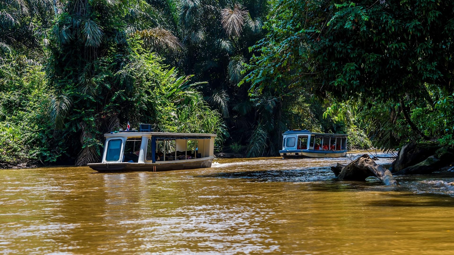 Dag 3 - Fly-drive Costa Rica met wandeltips