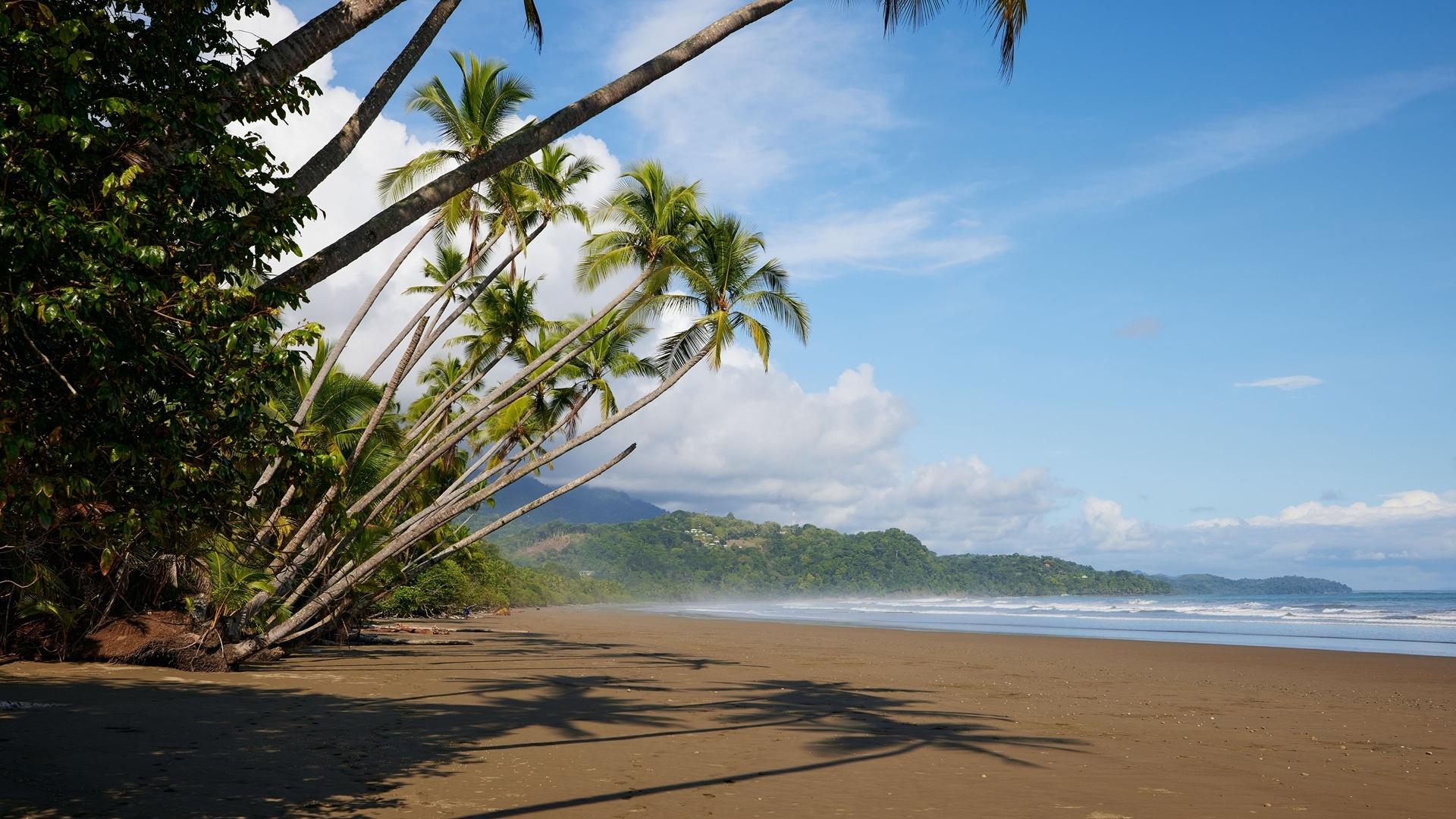 Dag 13 - Fly-drive Costa Rica met wandeltips