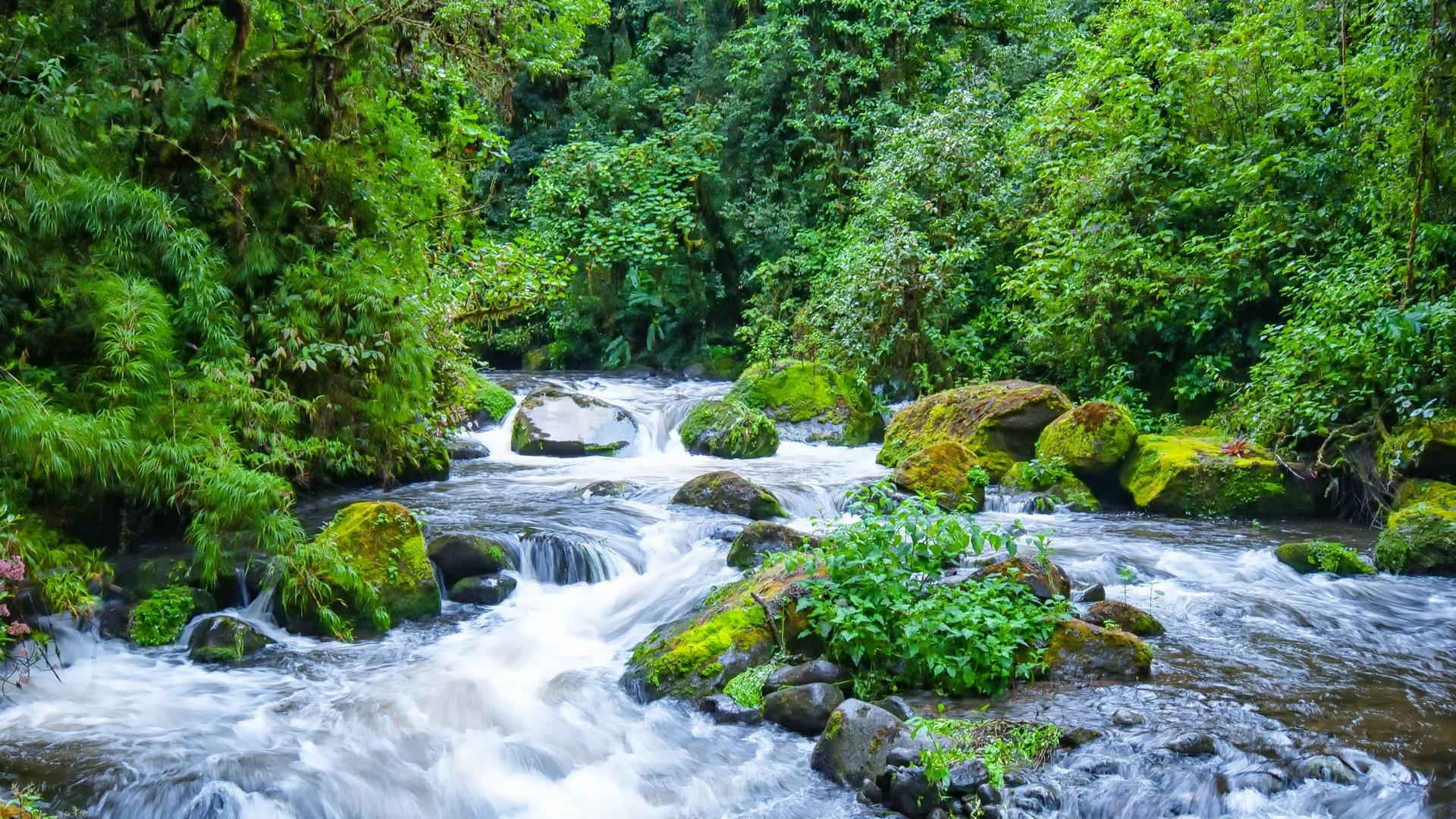 Dag 14 - Fly-drive Costa Rica met wandeltips