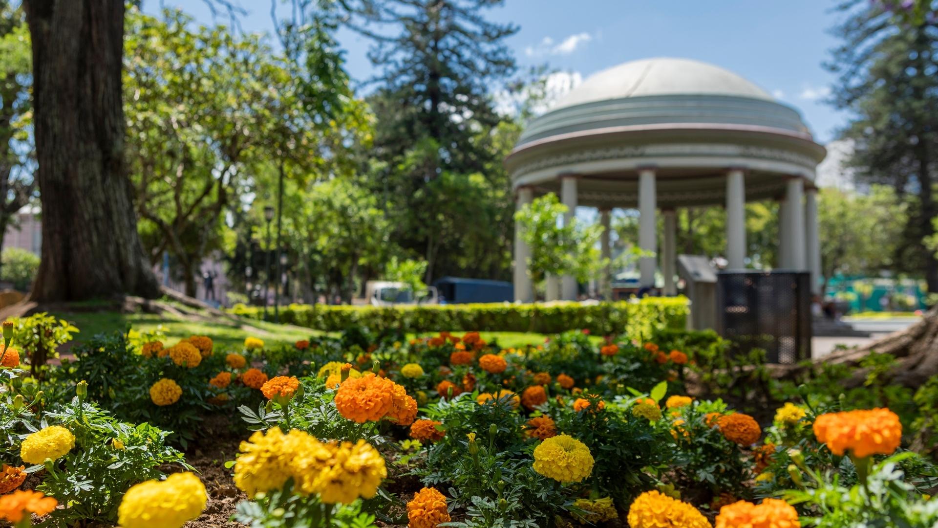 Dag 16 - Fly-drive Costa Rica met wandeltips