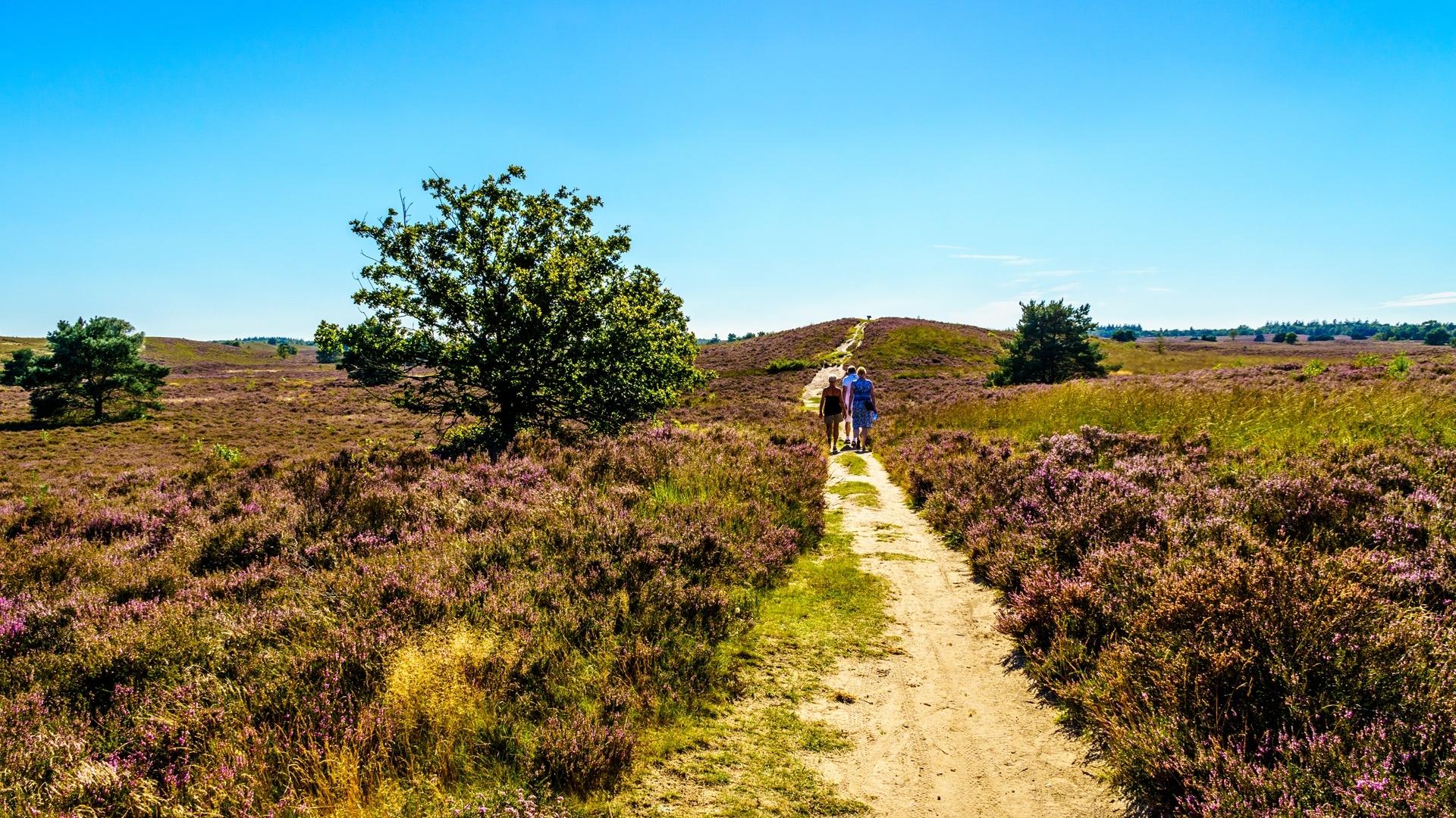 Dag 0 - Wandelvakantie Veluwe - 4 dagen