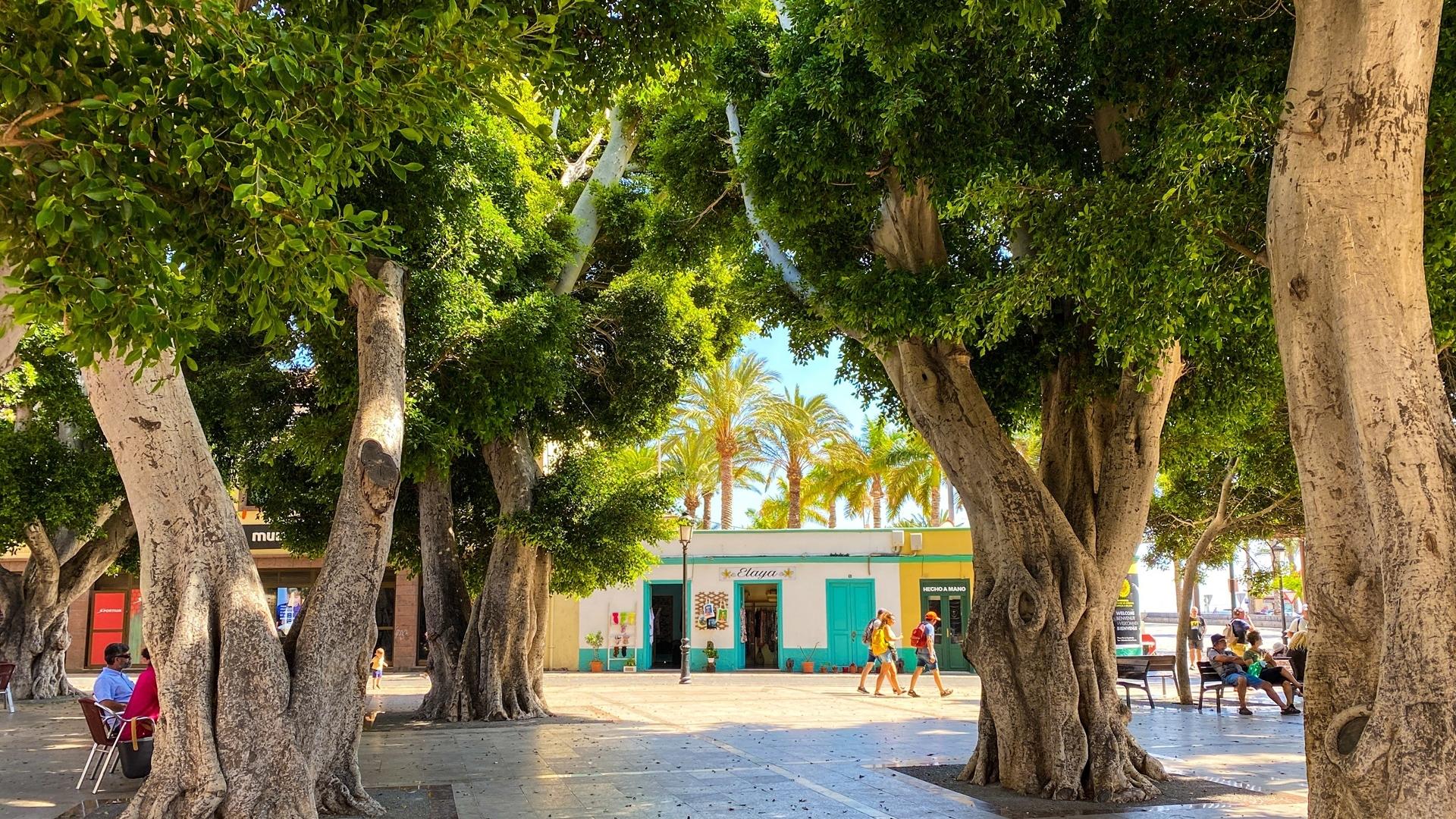 Dag 9 - Wandelen op La Gomera - 10 dagen