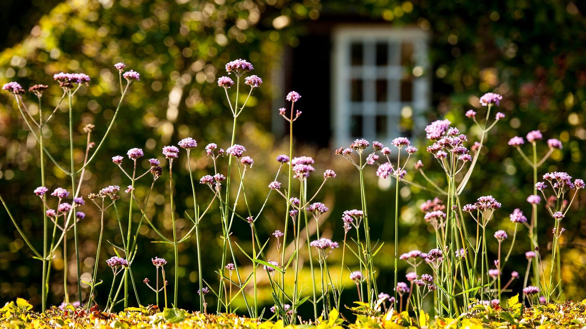 Dag 1 - Singlereis Wandelen in de Hof van Twente  - 4 dagen