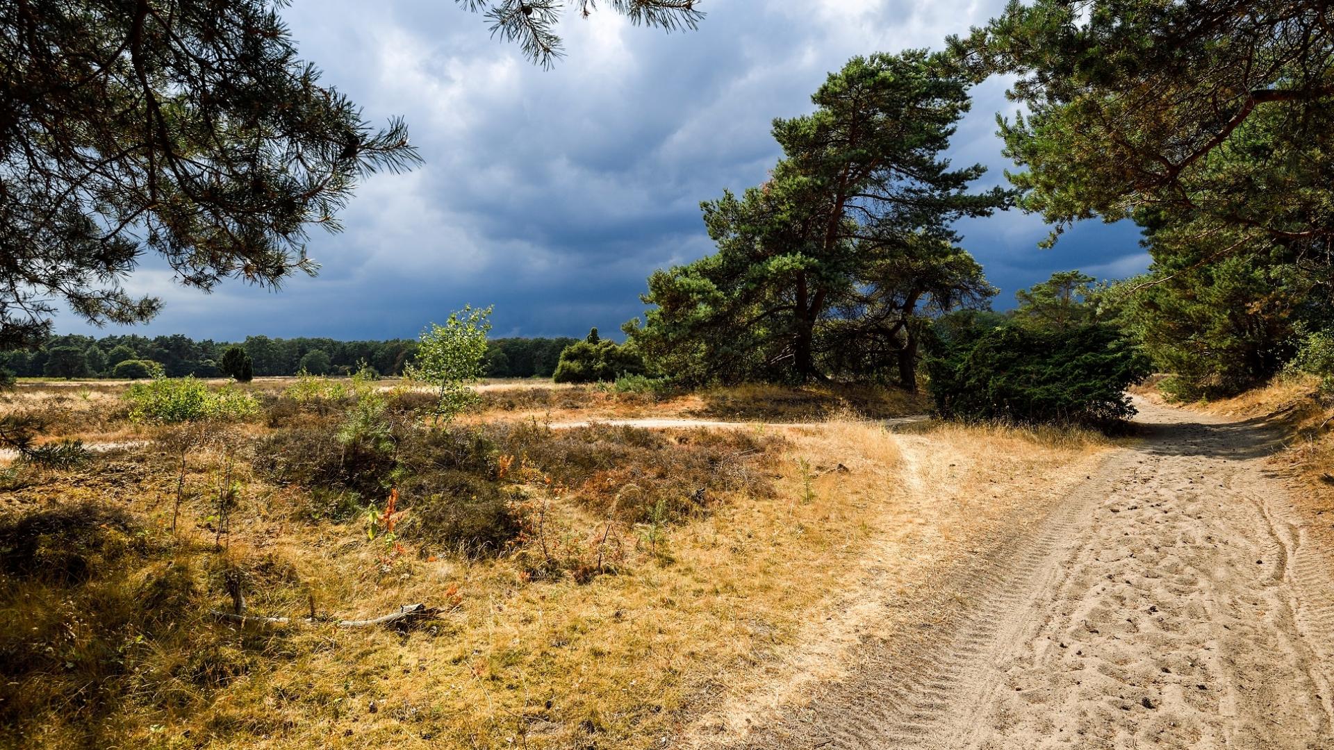 Dag 2 - Singlereis Wandelen in de Hof van Twente  - 4 dagen