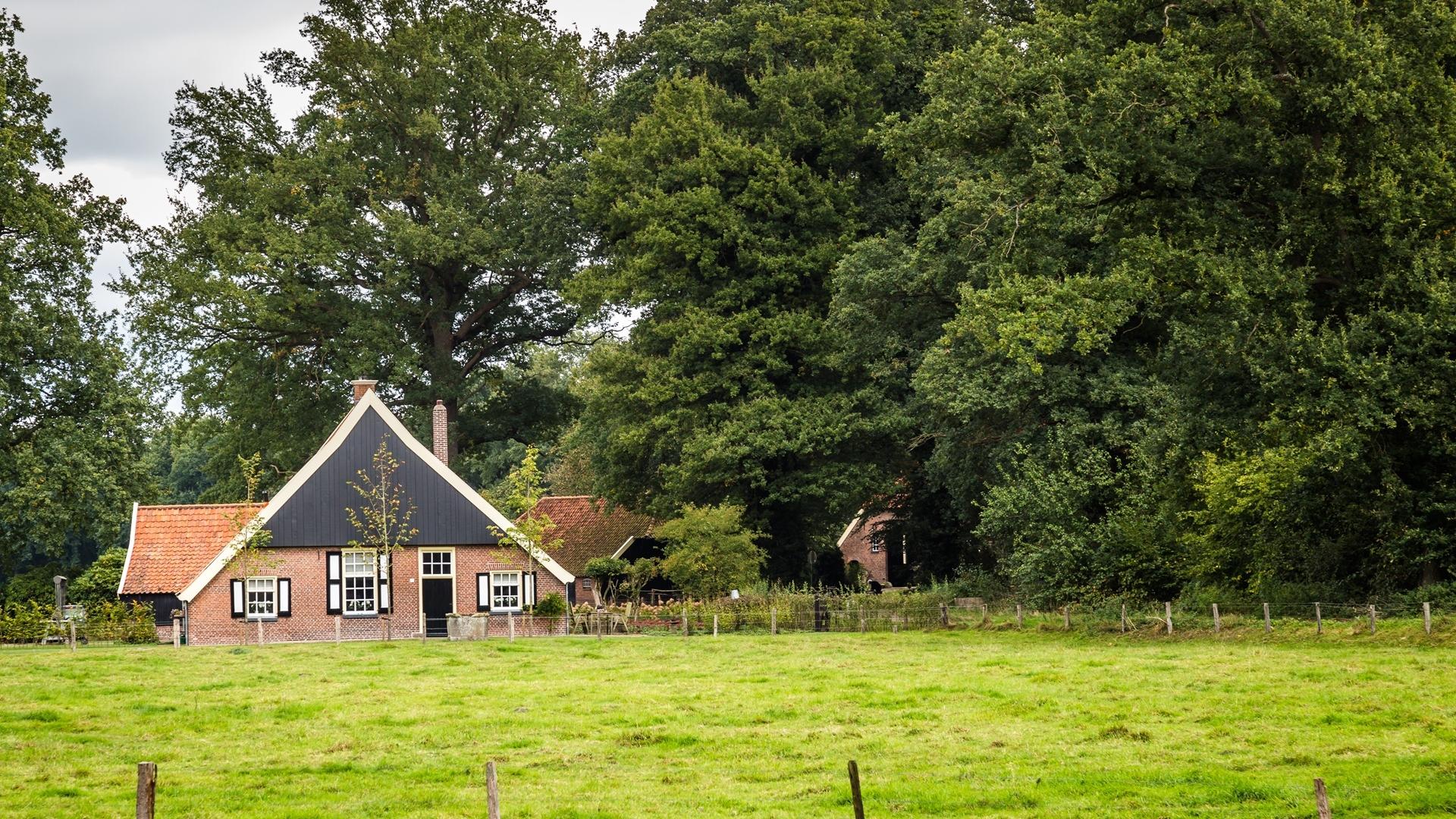 Dag 4 - Singlereis Wandelen in de Hof van Twente  - 4 dagen