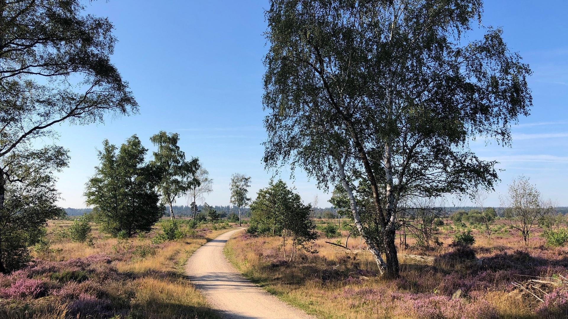Dag 4 - Singlereis Fietsen in de Hof van Twente en Sallandse Heuvelrug