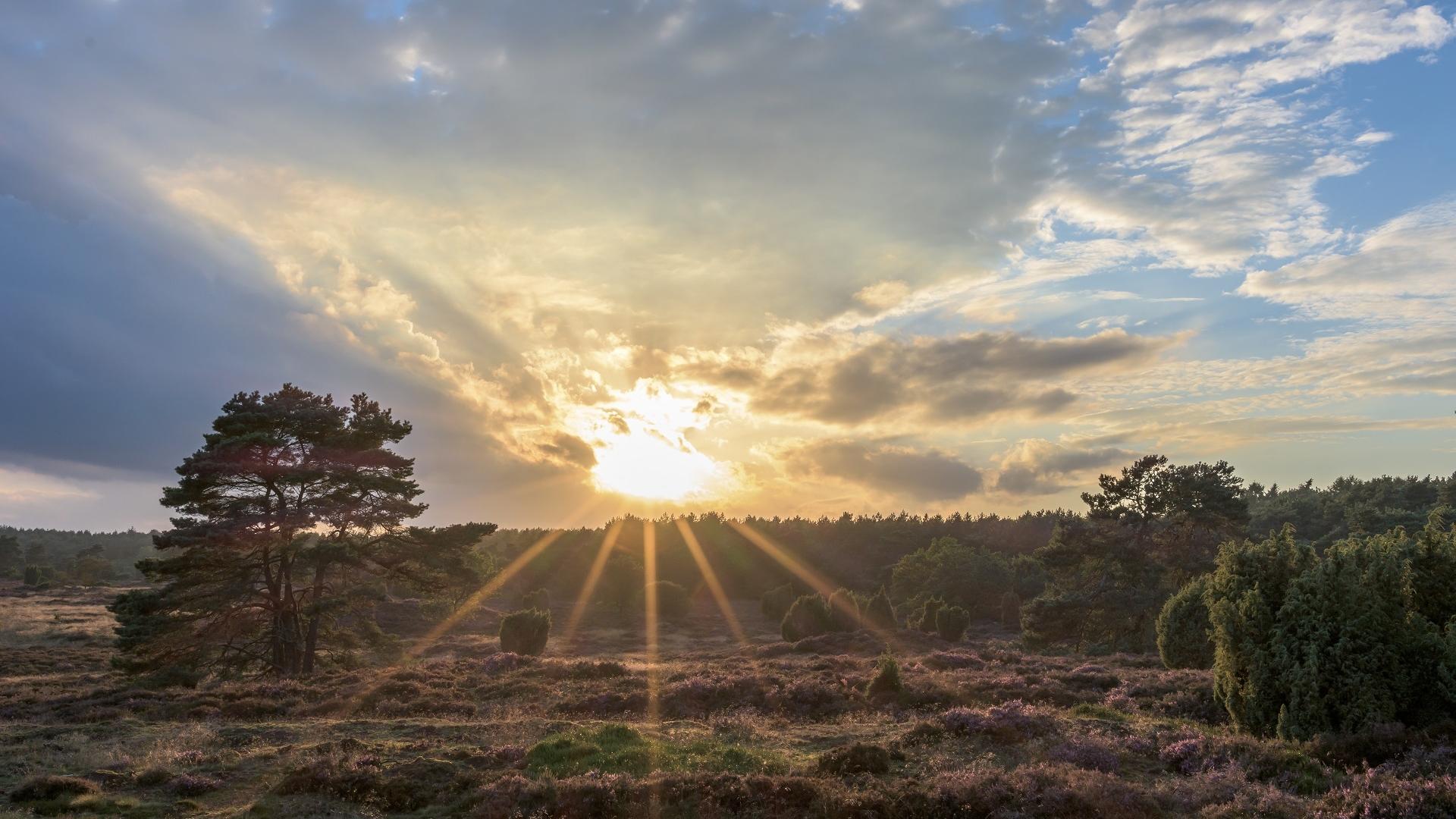 Dag 3 - Fietsvakantie over de Hondsrug - 3 dagen