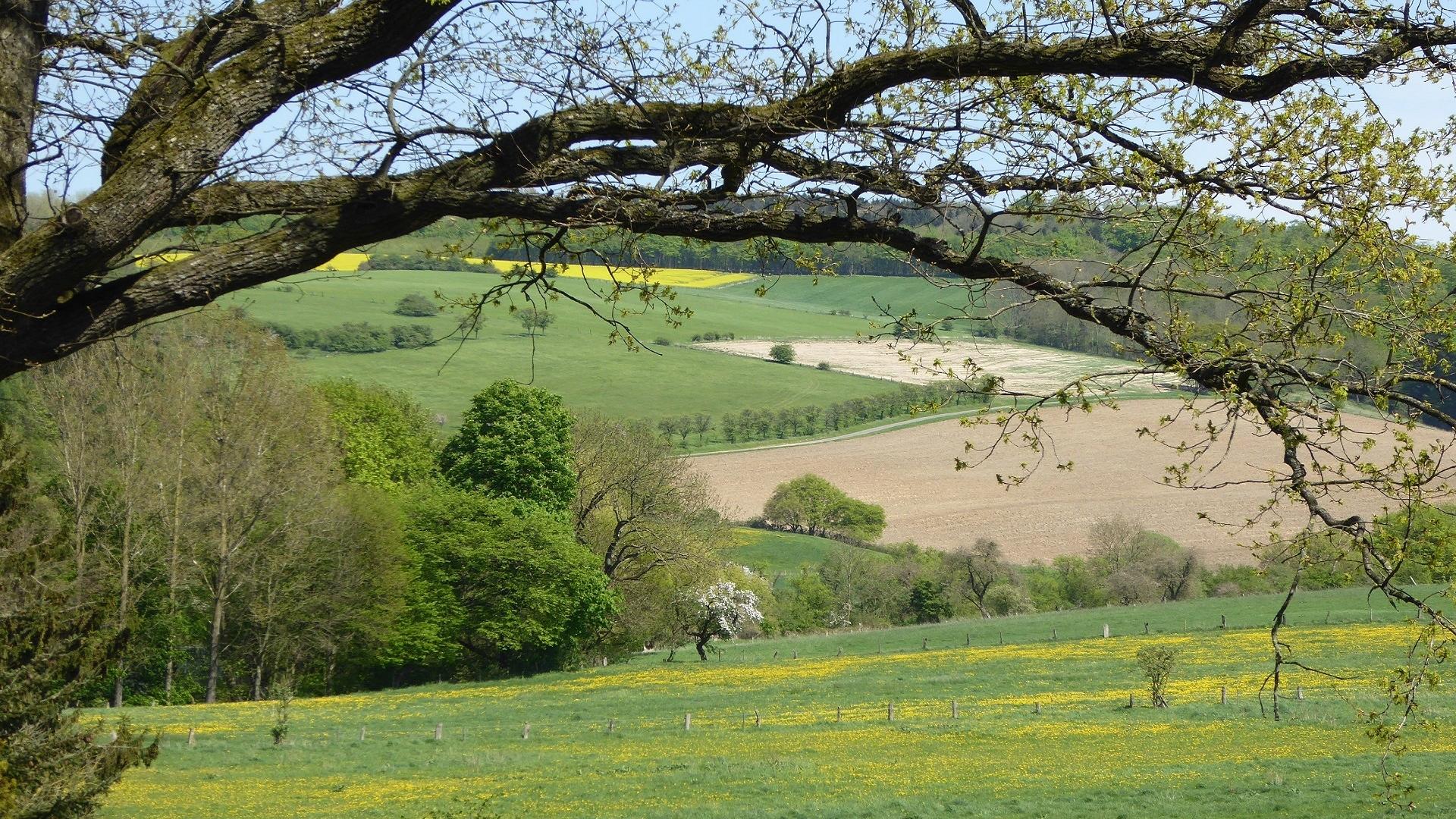 Dag 1 - Singlereis Wandelen  en Cultuur Paderborner Land