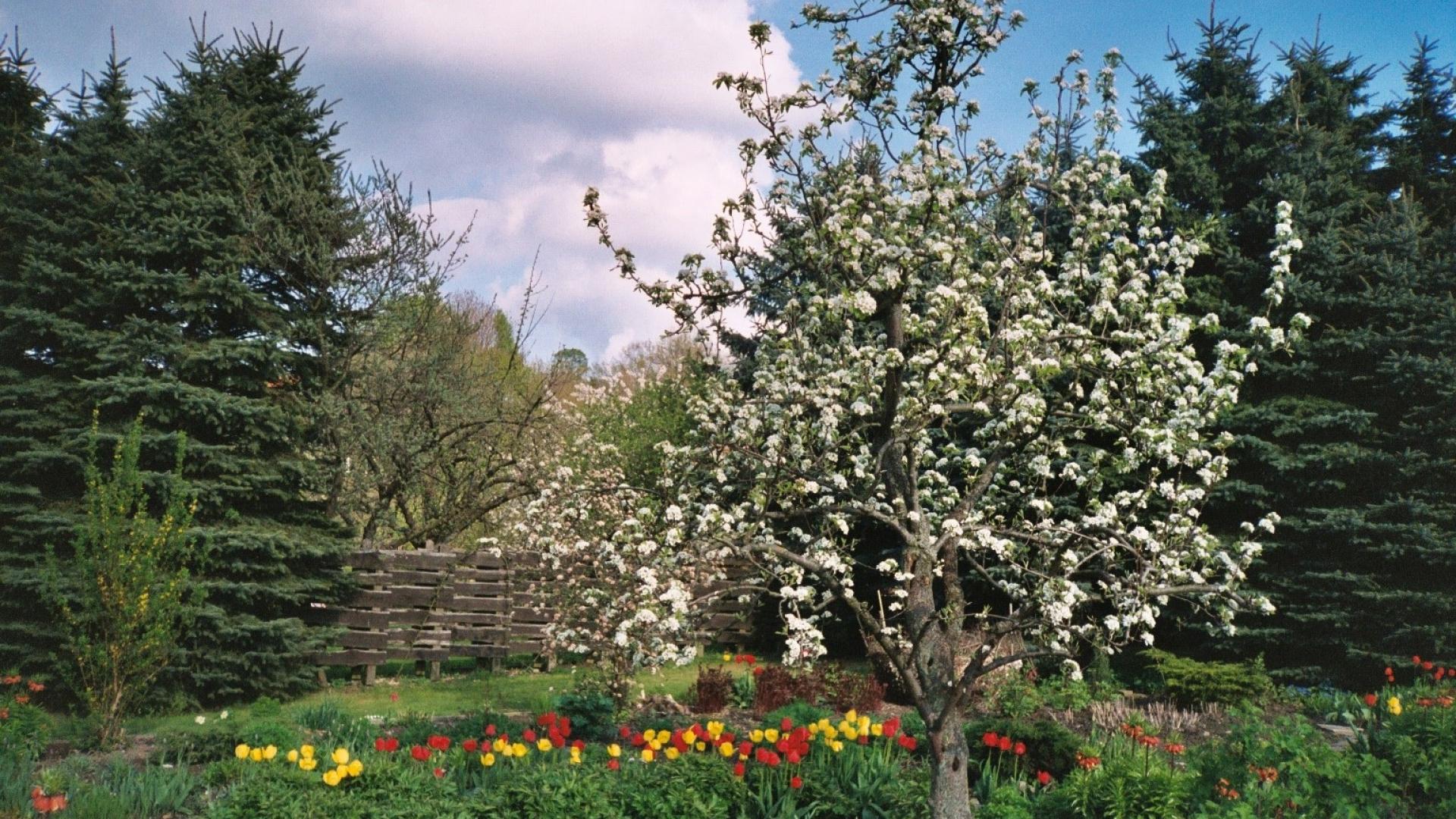 Dag 3 - Singlereis Wandelen  en Cultuur Paderborner Land