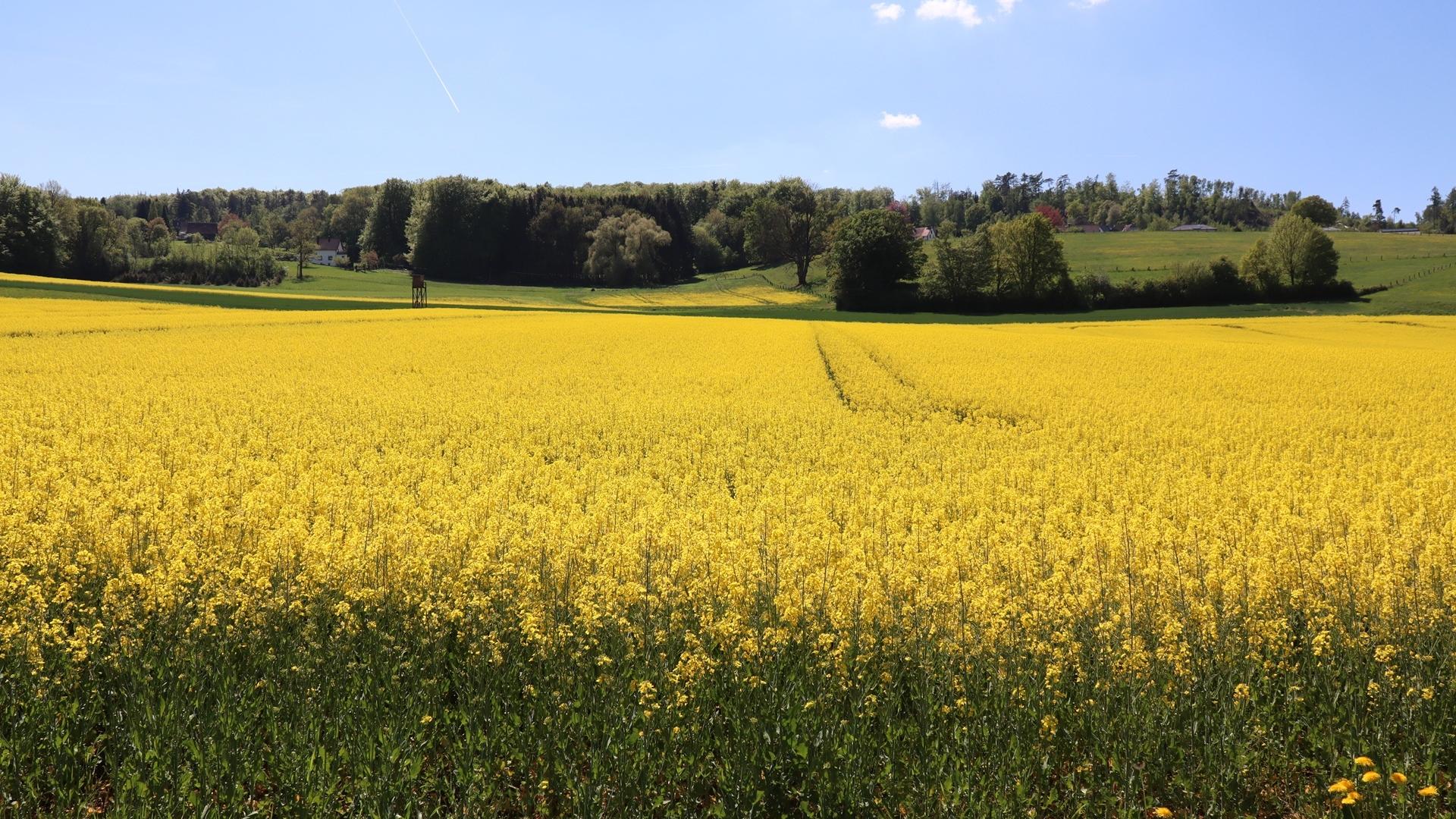 Dag 5 - Singlereis Wandelen  en Cultuur Paderborner Land