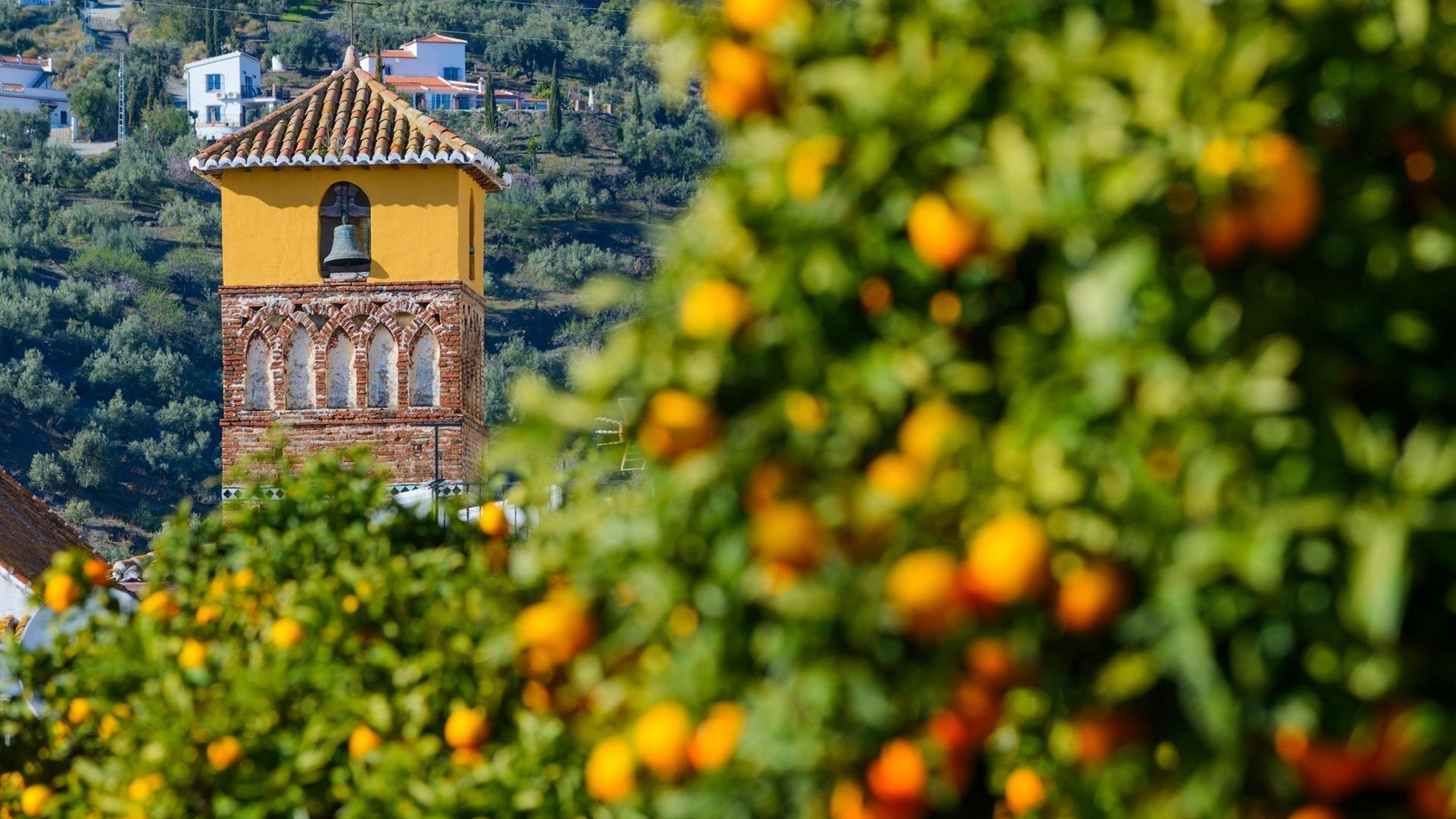 Dag 2 - Wandelvakantie Andalusi&euml;, C&oacute;mpeta en Granada
